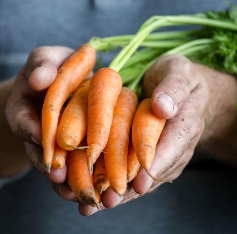 O nas Fit Bite Catering